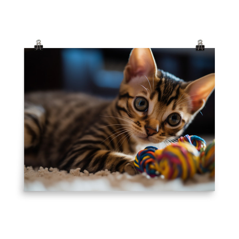 Gorgeous Bengal Kitten Playing with Toys photo paper poster - Posterfy.AI