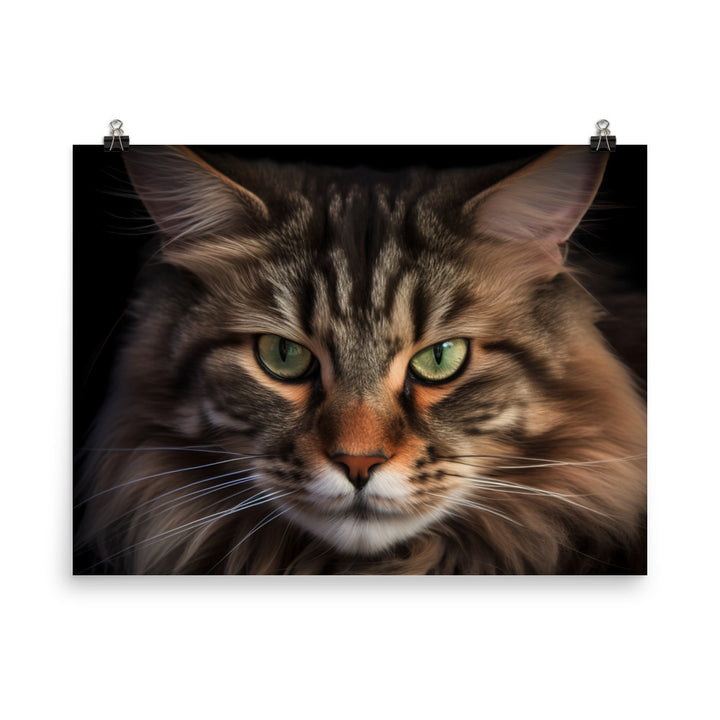 The majestic beauty of a Maine Coon photo paper poster - Posterfy.AI