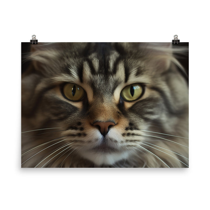 Maine Coon with a Close-Up shot photo paper poster - Posterfy.AI