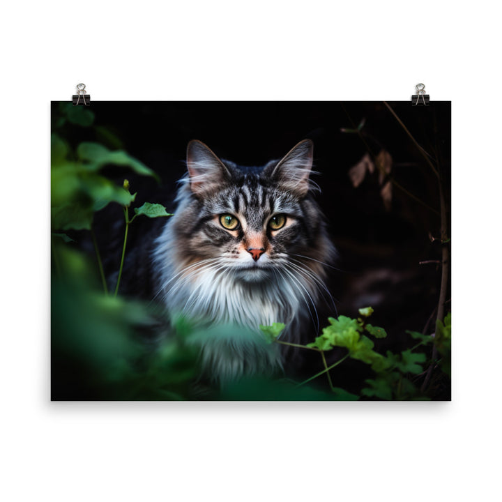 Maine Coon with a candid shot photo paper poster - Posterfy.AI