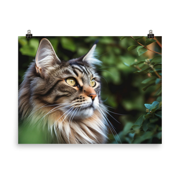 Maine Coon with a candid shot photo paper poster - Posterfy.AI