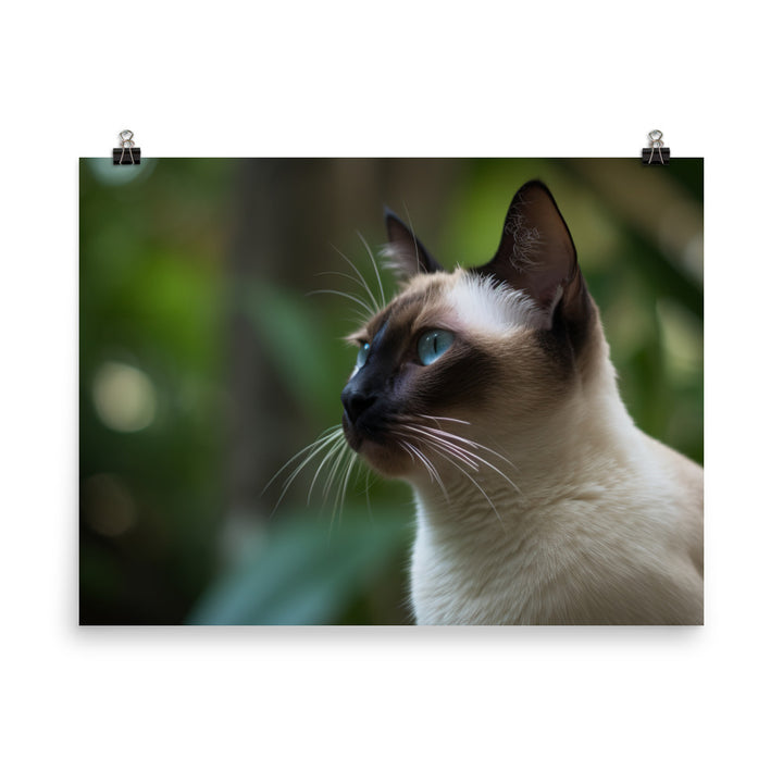 Majestic Siamese Staring into the Distance photo paper poster - Posterfy.AI