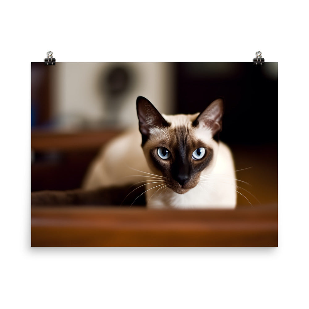 Curious Siamese Examining the Room photo paper poster - Posterfy.AI