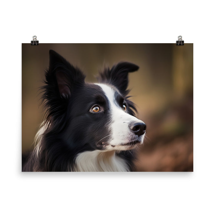 Majestic Border Collie Portrait photo paper poster - Posterfy.AI