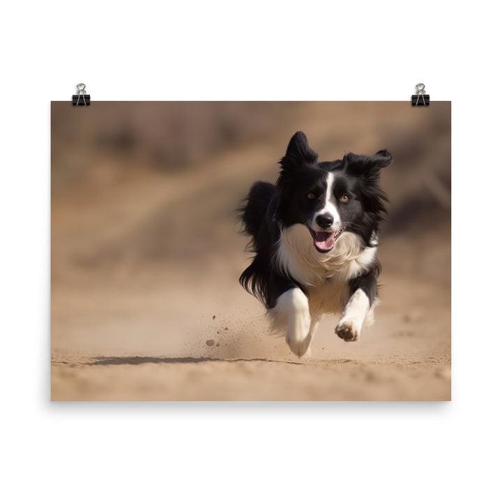 Energetic Border Collie in Action photo paper poster - Posterfy.AI