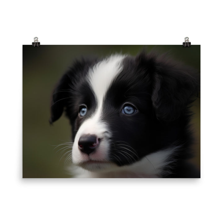 Adorable Border Collie Puppy photo paper poster - Posterfy.AI