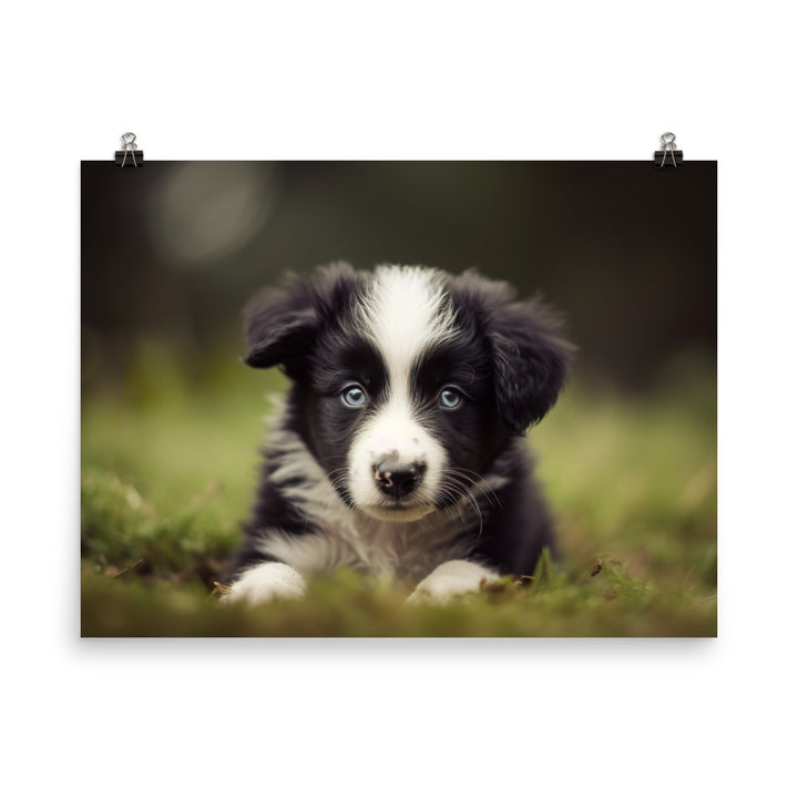 Adorable Border Collie Puppy photo paper poster - Posterfy.AI