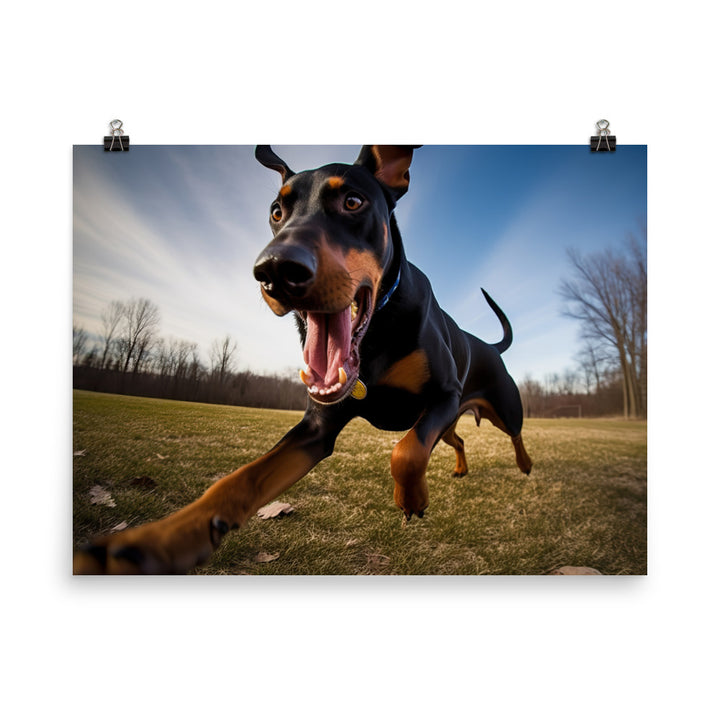 Doberman Pinschers love of running photo paper poster - Posterfy.AI