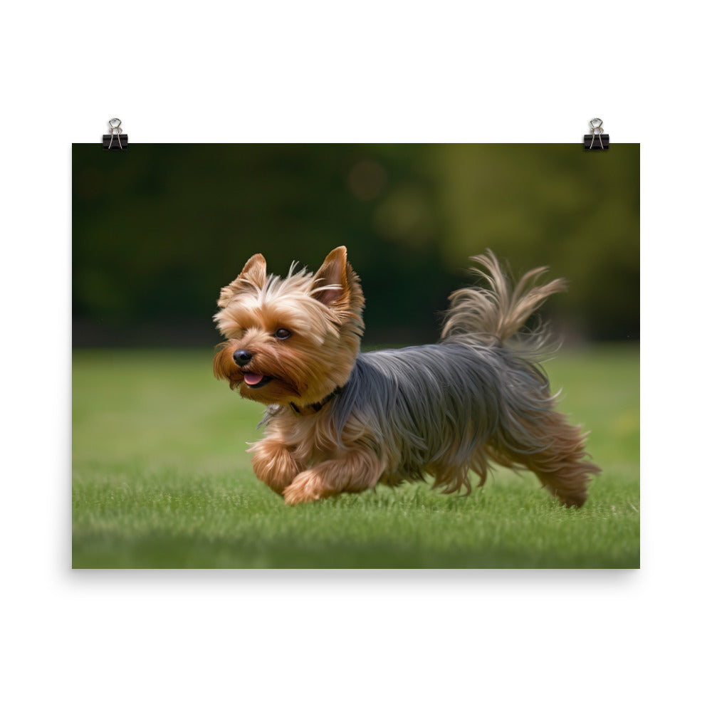 Yorkshire Terrier on the Go photo paper poster - Posterfy.AI