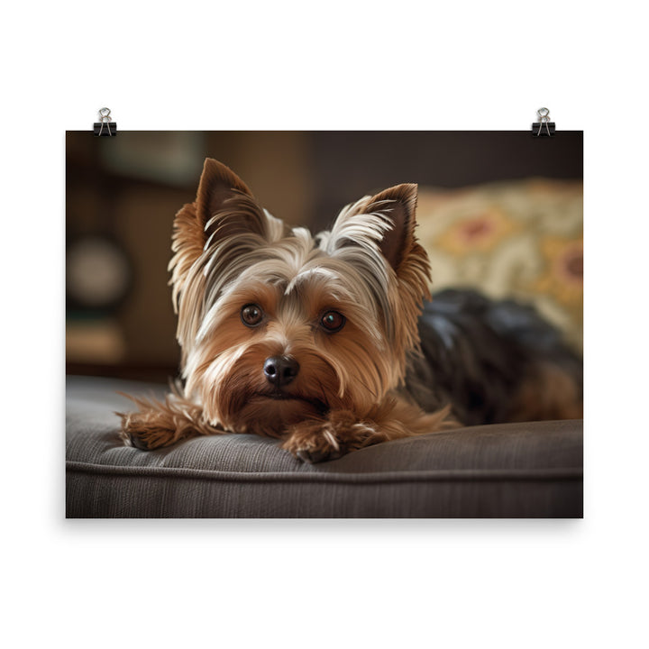 Yorkie at Home photo paper poster - Posterfy.AI