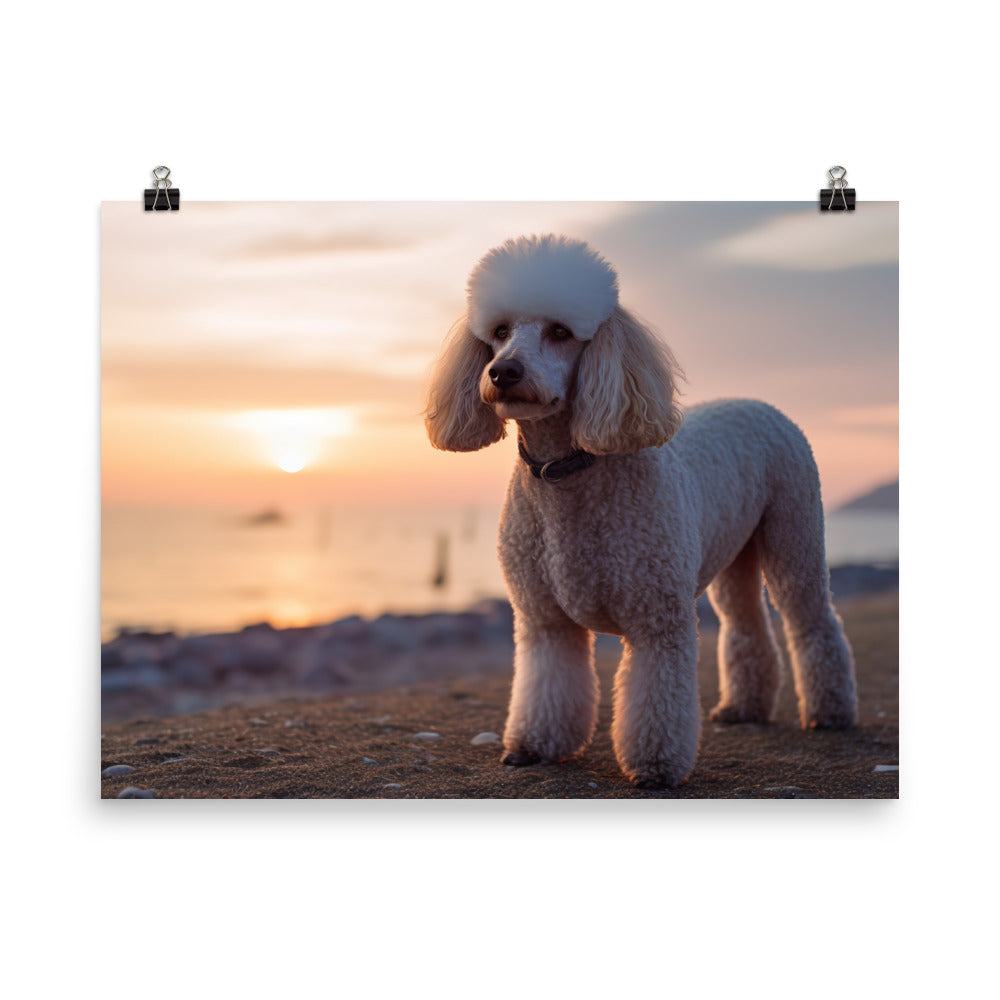Poodle by the Seaside photo paper poster - Posterfy.AI