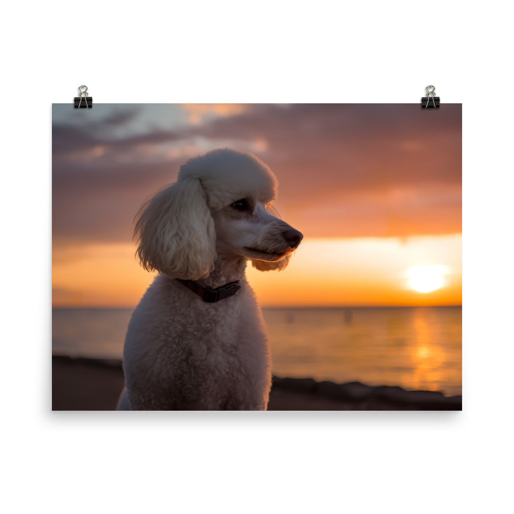 Poodle by the Seaside photo paper poster - Posterfy.AI
