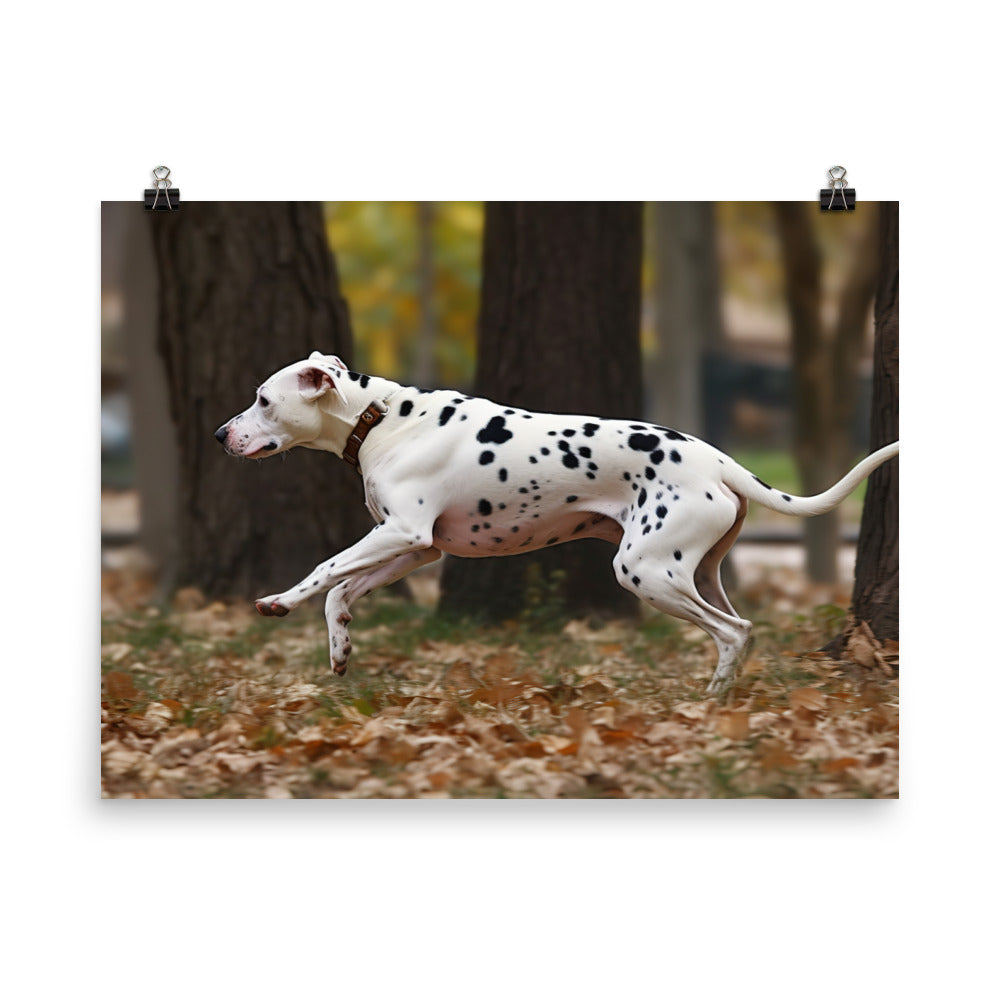 Dalmatian running in a park photo paper poster - Posterfy.AI