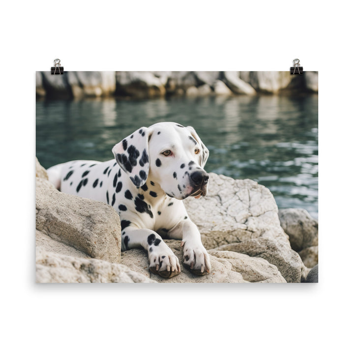 Dalmatian Daydream photo paper poster - Posterfy.AI