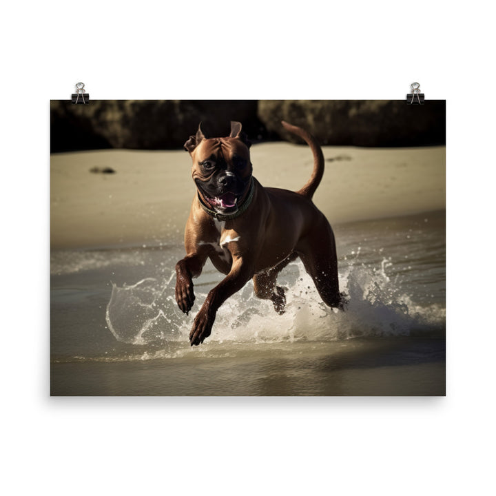 Boxer at the Beach photo paper poster - Posterfy.AI