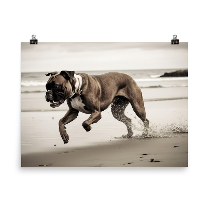 Boxer at the Beach photo paper poster - Posterfy.AI