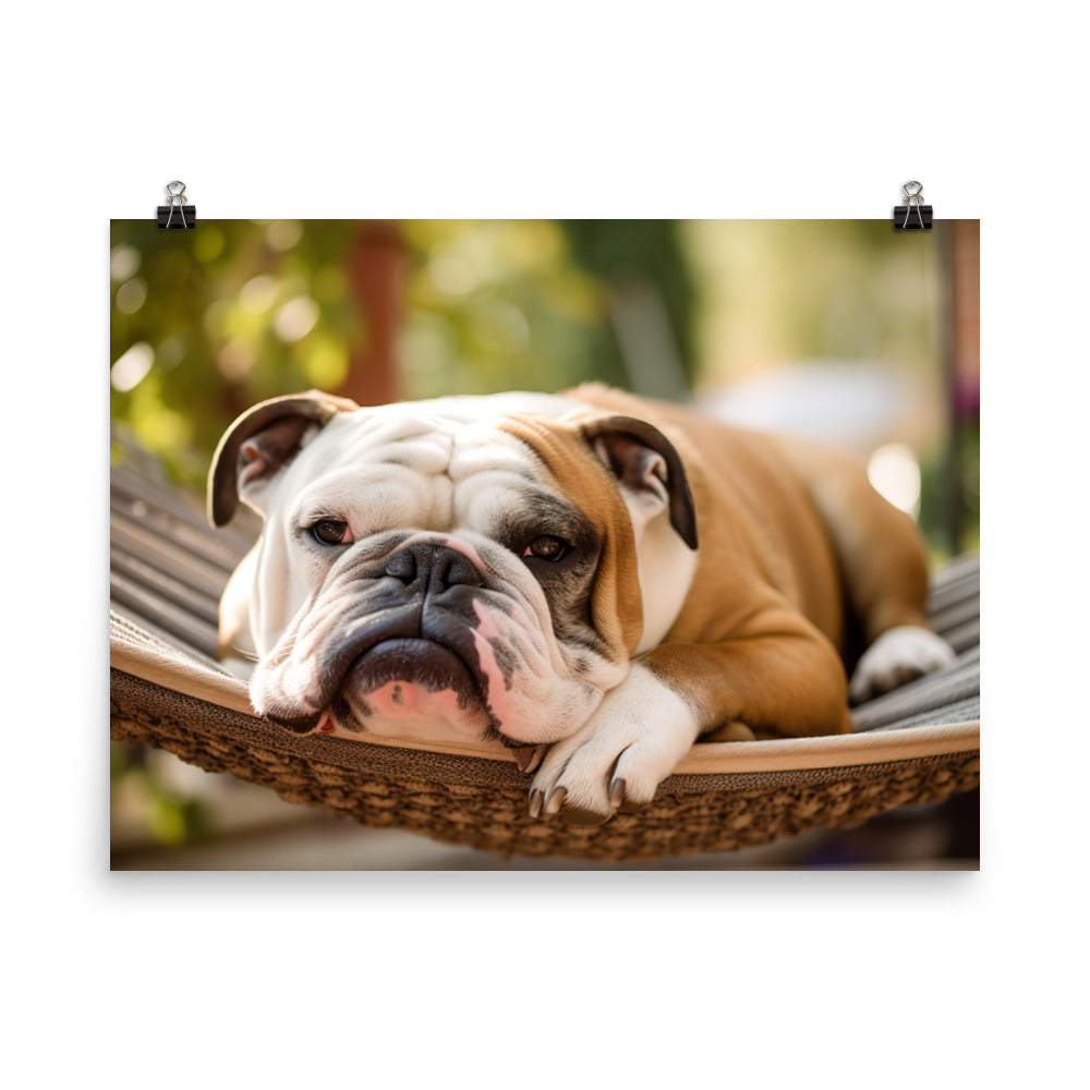 Relaxing Bulldog in the Hammock photo paper poster - Posterfy.AI