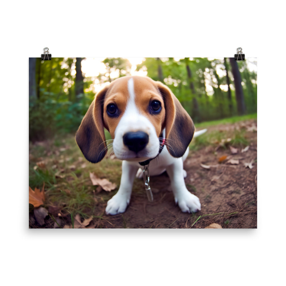 The curious eyes of a Beagle pup photo paper poster - Posterfy.AI