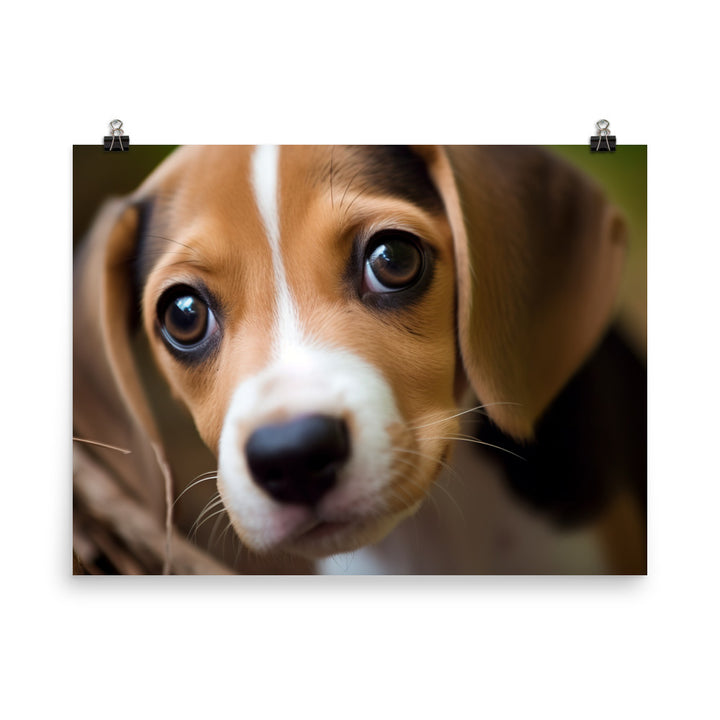 The curious eyes of a Beagle pup photo paper poster - Posterfy.AI