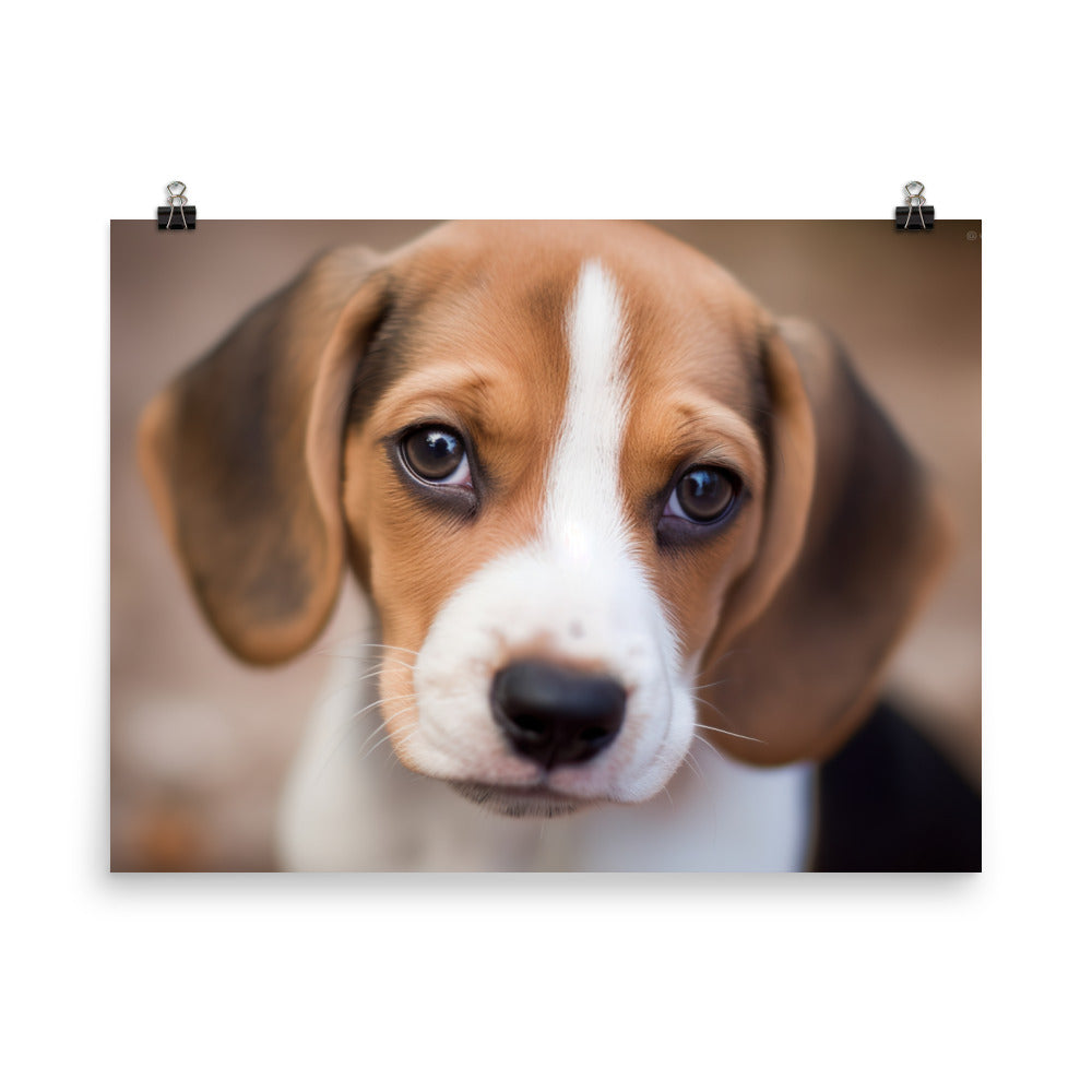 Adorable Beagle posing for the camera photo paper poster - Posterfy.AI