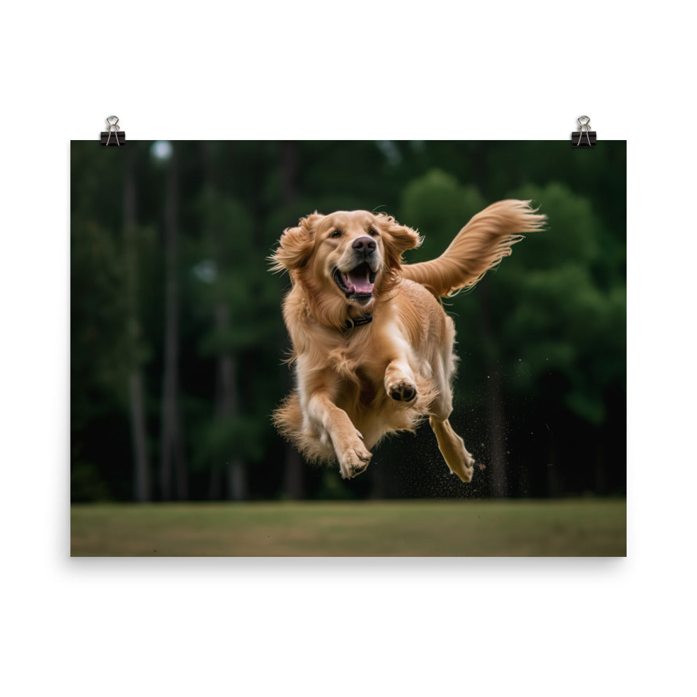 Golden retriever jumping up photo paper poster - Posterfy.AI