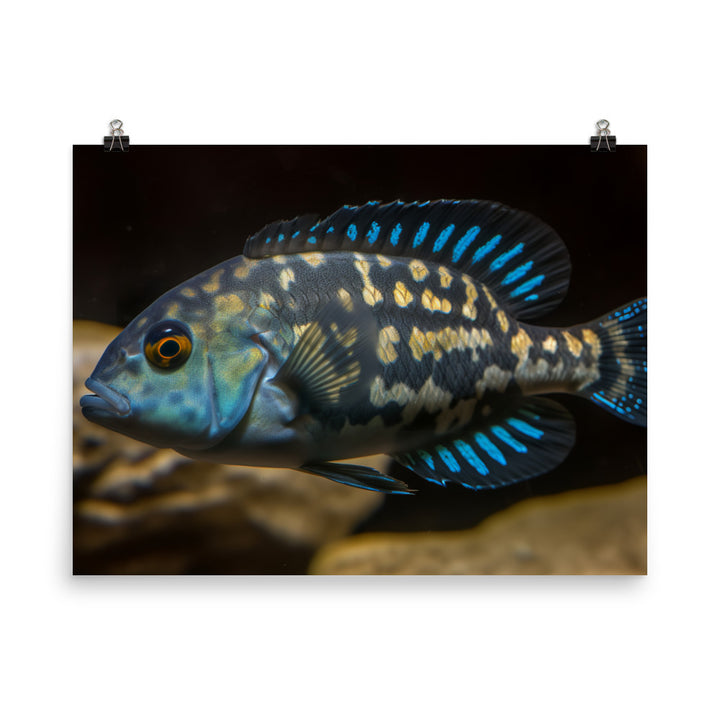 Magnificent African Cichlid with Unique Spotted Pattern photo paper poster - Posterfy.AI