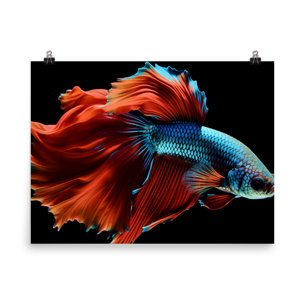 Vibrant Siamese Fighting Fish Photo paper poster - Posterfy.AI