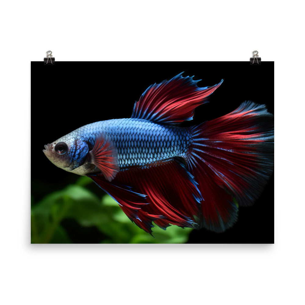 The Mystic Betta Photo paper poster - Posterfy.AI
