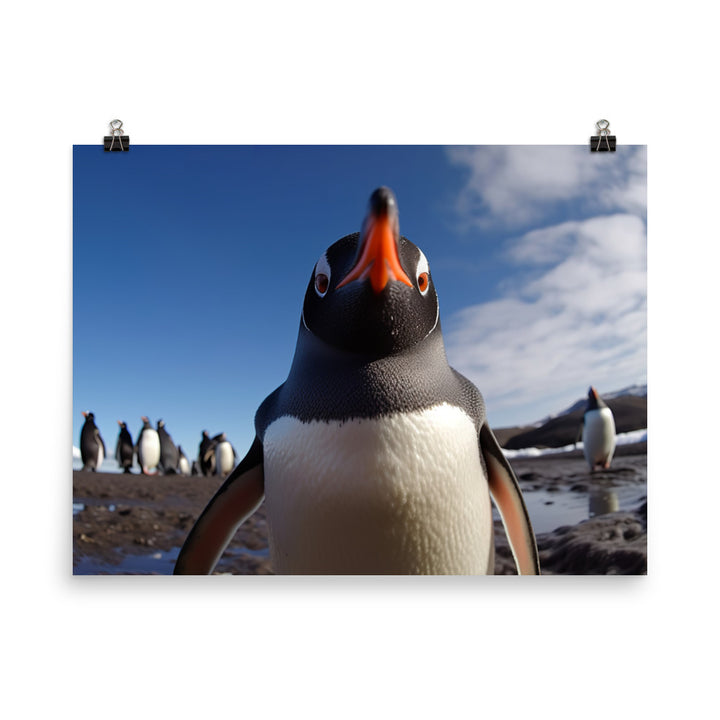 Curious Gentoo Penguin Photo paper poster - Posterfy.AI