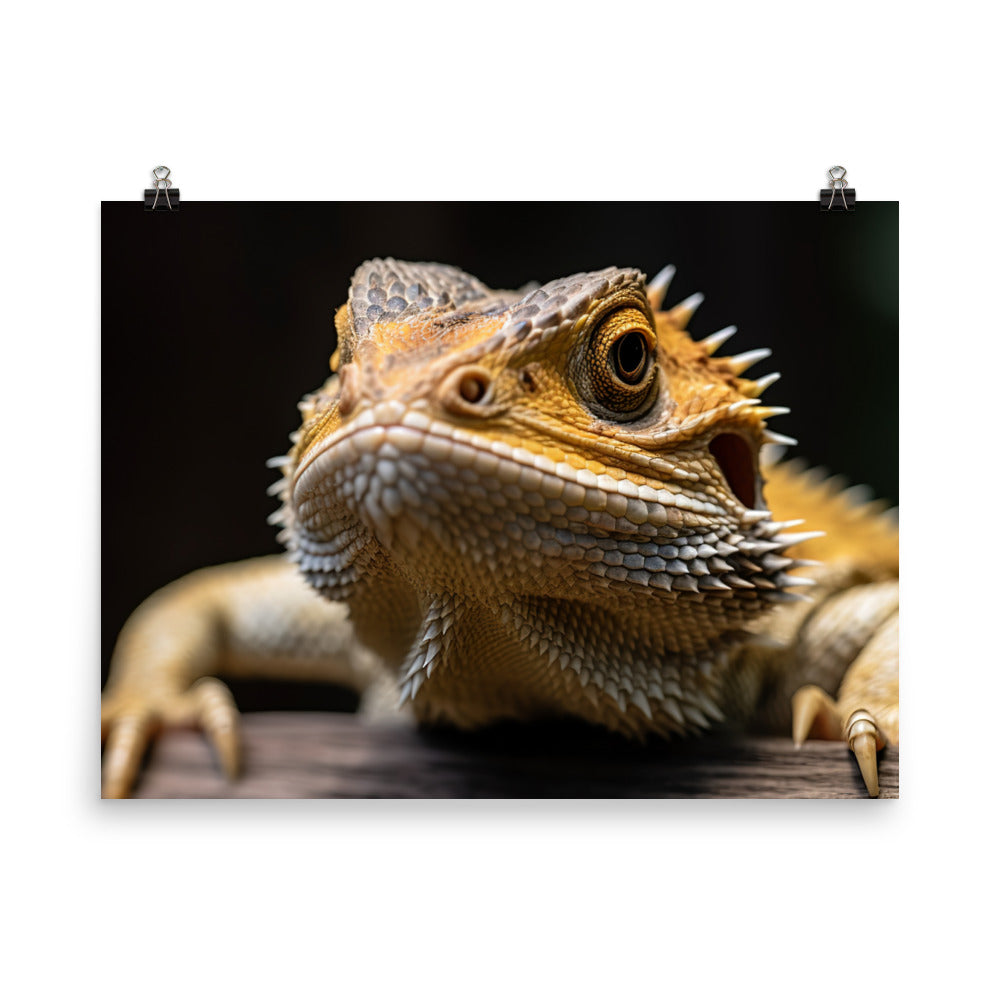 Close-Up Portrait of a Bearded Dragon photo paper poster - Posterfy.AI