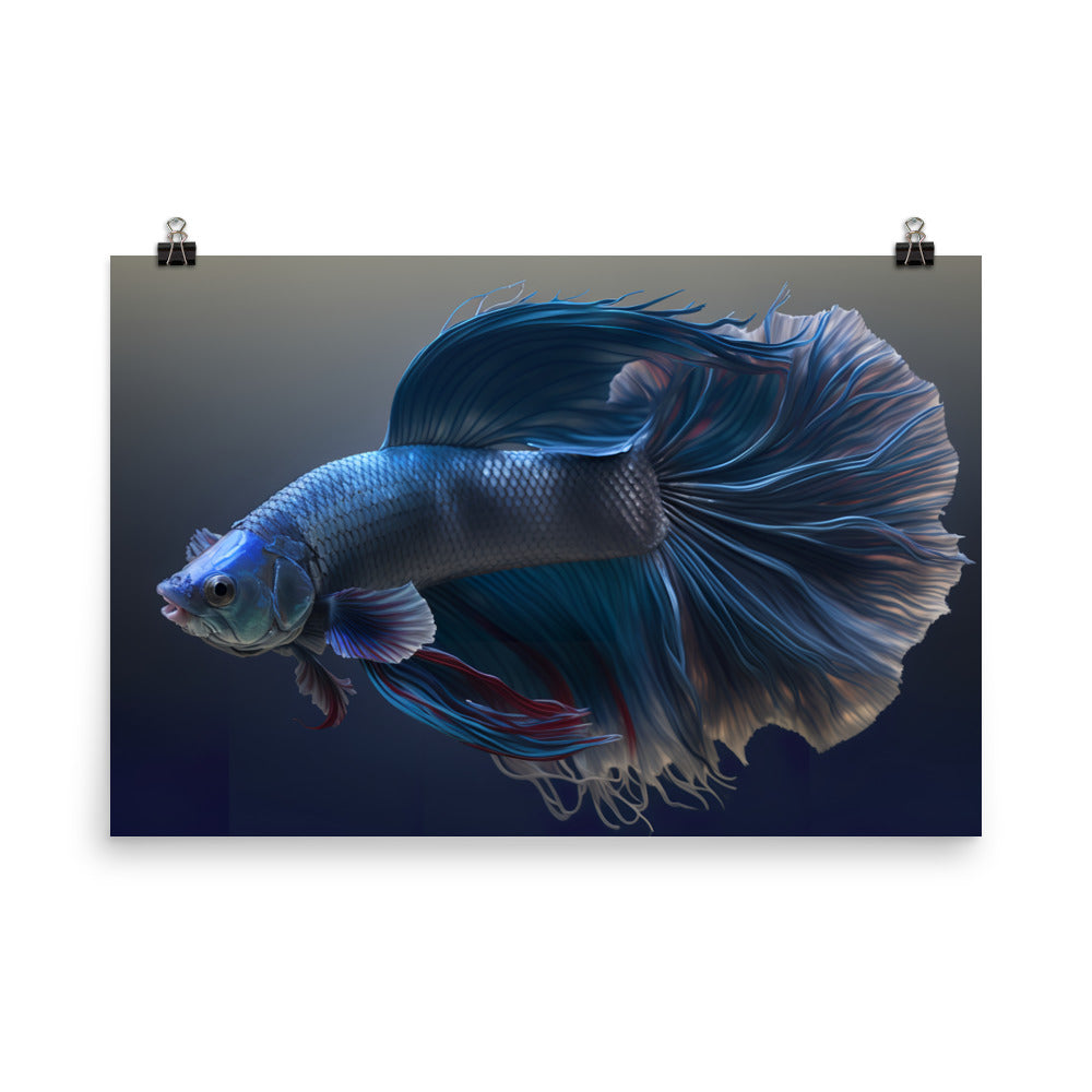 Siamese fighting fish (betta) flaring its gills photo paper poster - Posterfy.AI