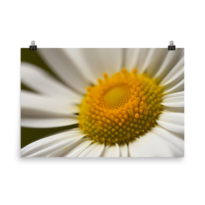 Daisy Petals photo paper poster - Posterfy.AI