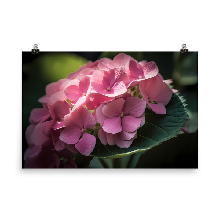 Soft Pink Hydrangea photo paper poster - Posterfy.AI