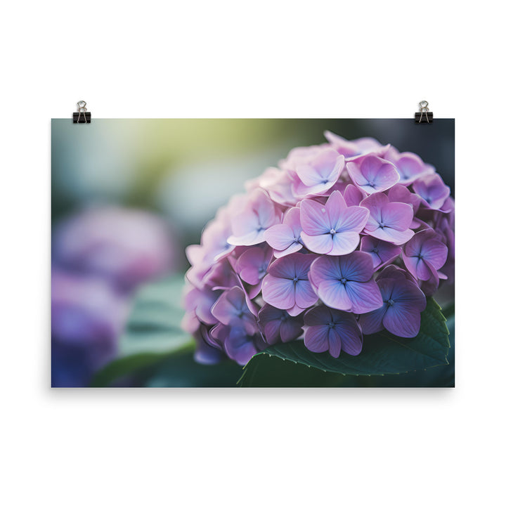 Soft and Dreamy Hydrangea photo paper poster - Posterfy.AI