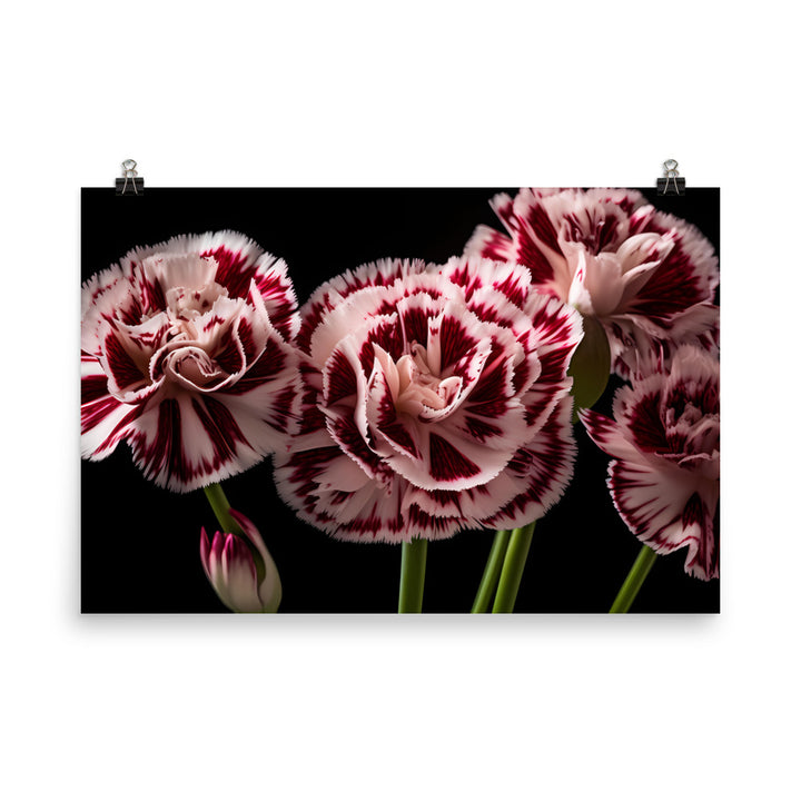 Unique Striped Carnations photo paper poster - Posterfy.AI