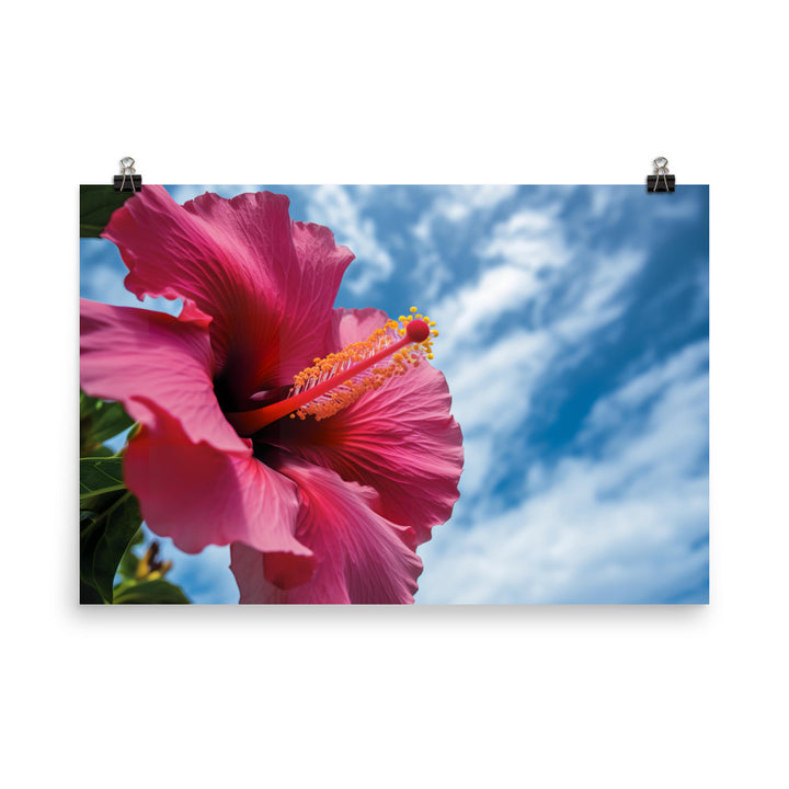 Hibiscus Flower Against a Blue Sky photo paper poster - Posterfy.AI