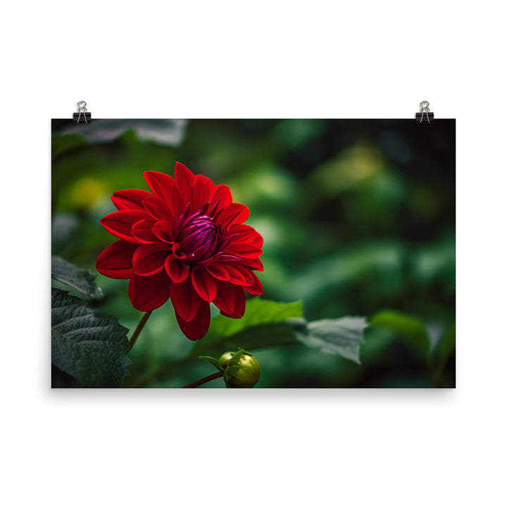 Crimson Dahlia in the Garden photo paper poster - Posterfy.AI