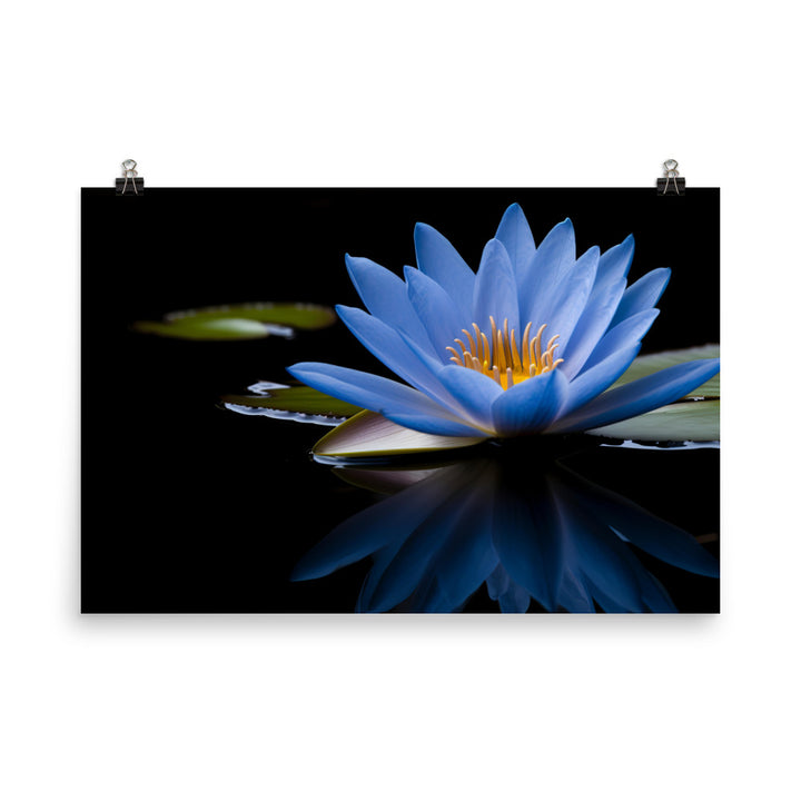 Blue Lily in the Pond photo paper poster - Posterfy.AI