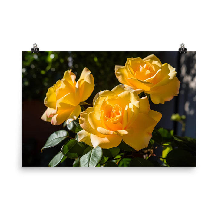 Sunny Yellow Roses photo paper poster - Posterfy.AI