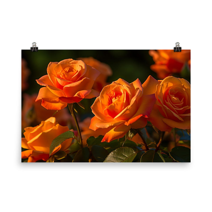 Romantic Peach Roses photo paper poster - Posterfy.AI