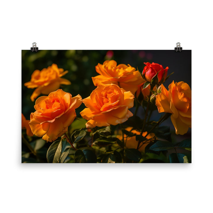 Romantic Peach Roses photo paper poster - Posterfy.AI