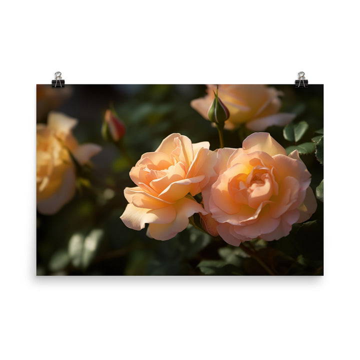 Lively Orange Roses photo paper poster - Posterfy.AI