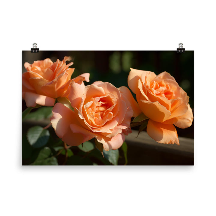 Lively Orange Roses photo paper poster - Posterfy.AI