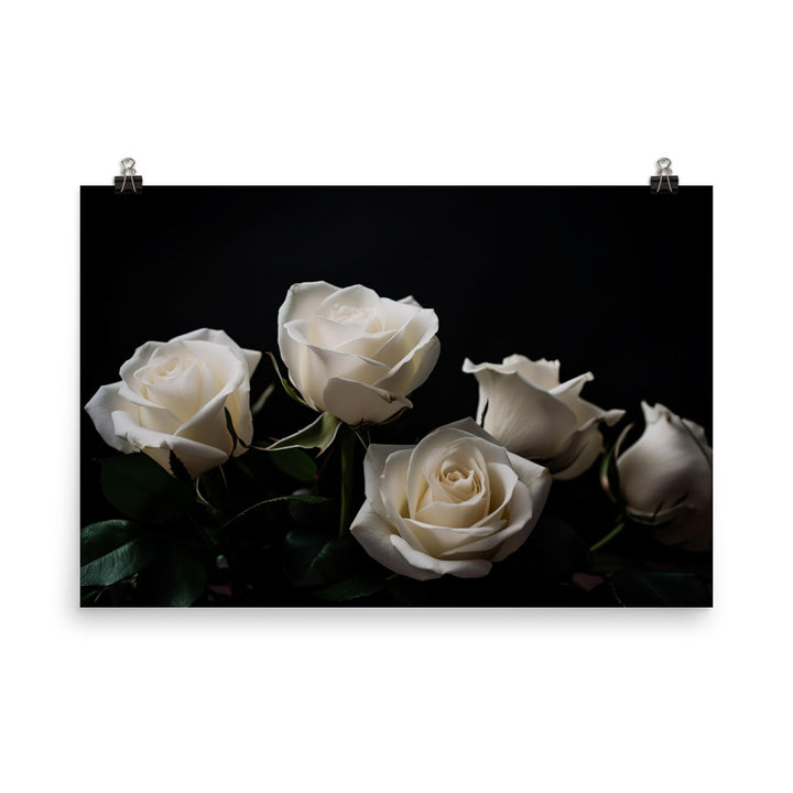 Classic White Roses photo paper poster - Posterfy.AI