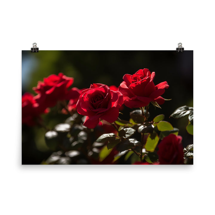 A Sea of Red Roses photo paper poster - Posterfy.AI