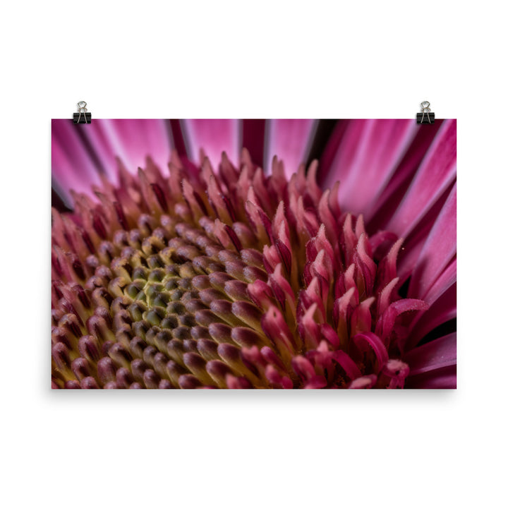 Macro Majesty photo paper poster - Posterfy.AI