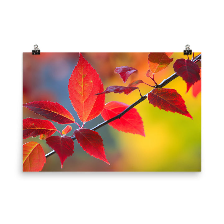 Vibrant Fall Foliage photo paper poster - Posterfy.AI