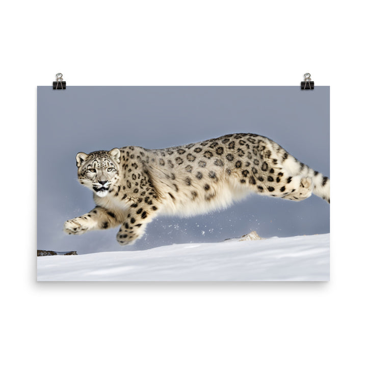 A Snow Leopard leaping through the air photo paper poster - Posterfy.AI