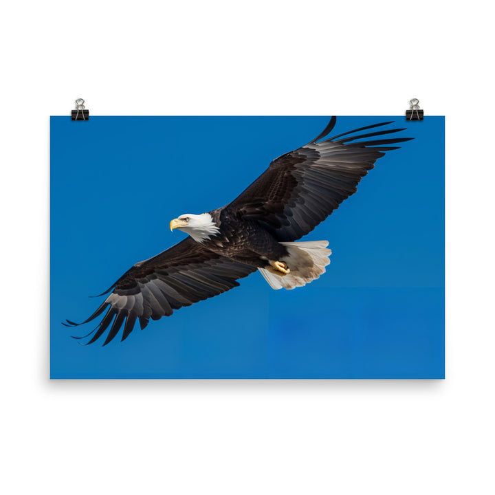 Beautiful Bald Eagle in Flight Against the Blue Sky photo paper poster - Posterfy.AI