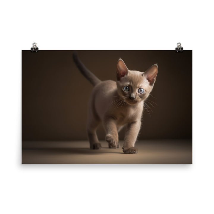 The Playful Burmese Kitten photo paper poster - Posterfy.AI